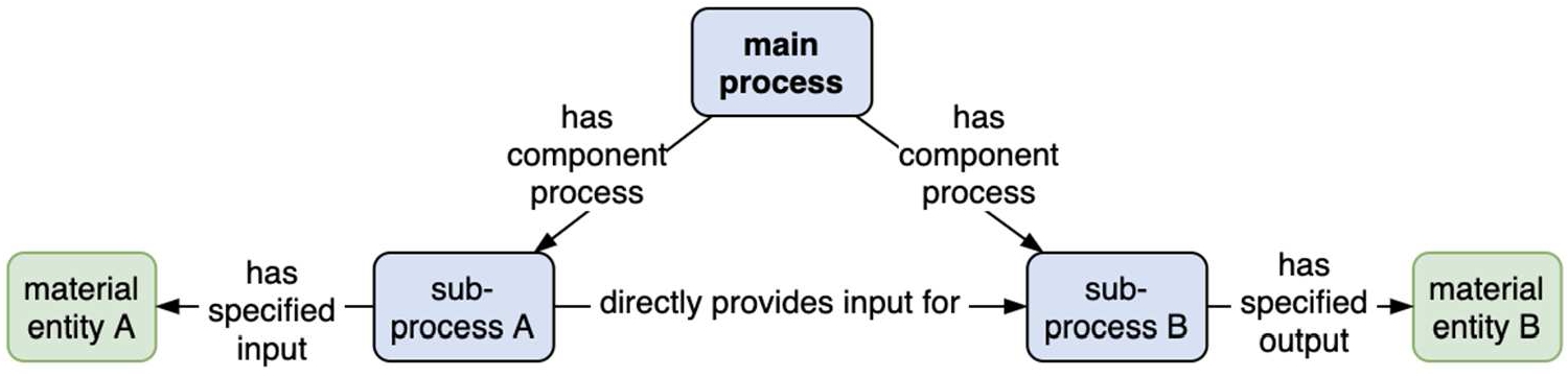 The steps or sub-processes of a main process.