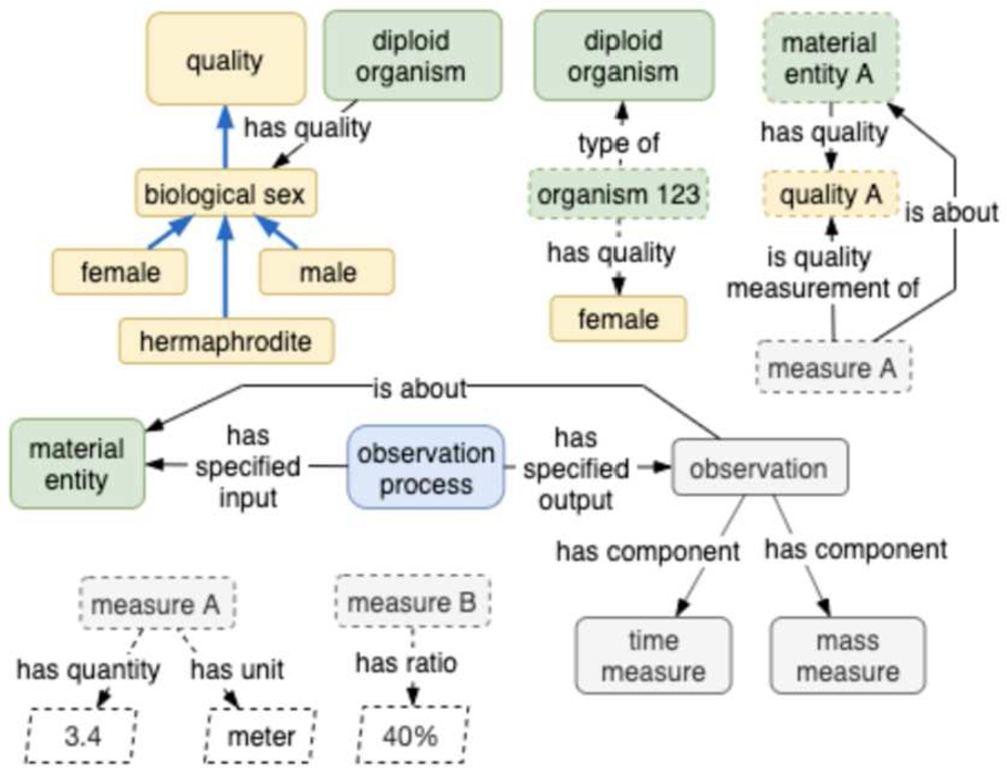 Examples of abstract measures, object and data properties for recording them, and instance data.