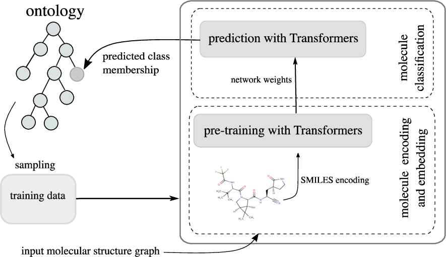 Architecture of our ontology extension with Transformer-based models.