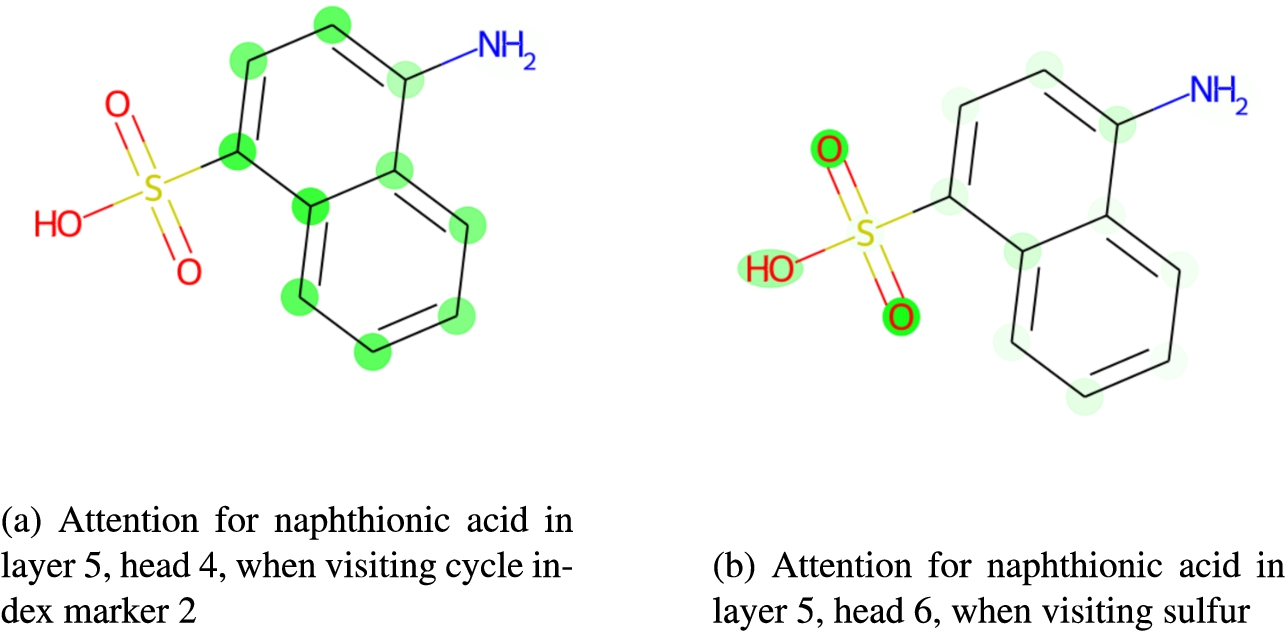 Some attentions for naphthionic acid, projected to the molecule.