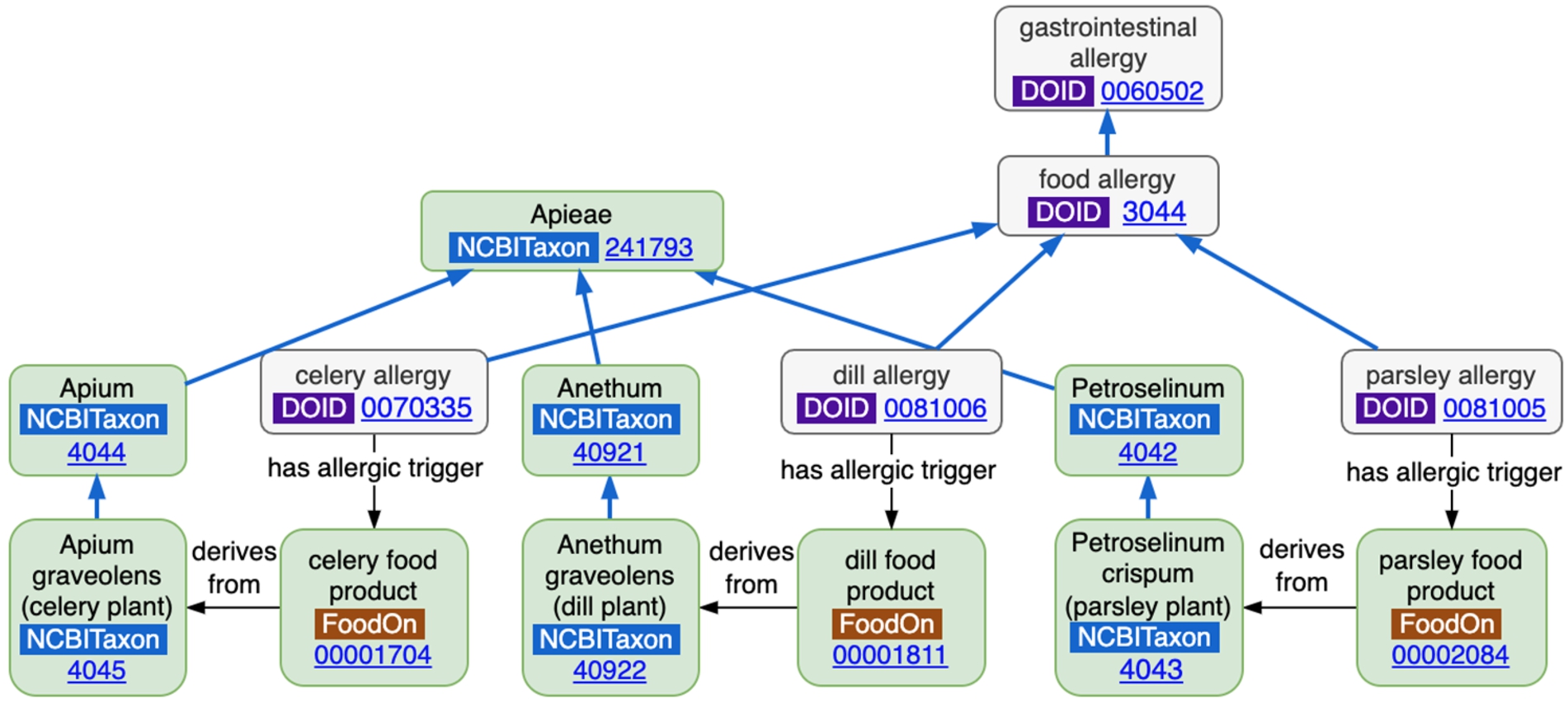 An allergy-food product-taxonomy pattern arising from the relations existing across 3 ontologies.