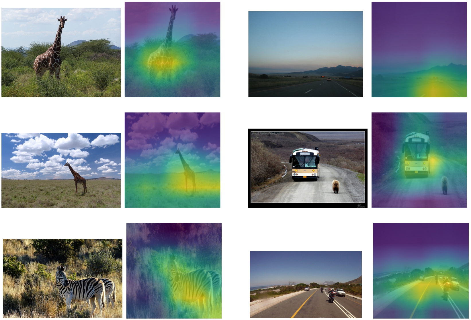 Images from the visual genome dataset and their saliency maps produced by Score-CAM. Images on the left were classified as “Desert Road” and images on the right as “Desert Sand”.