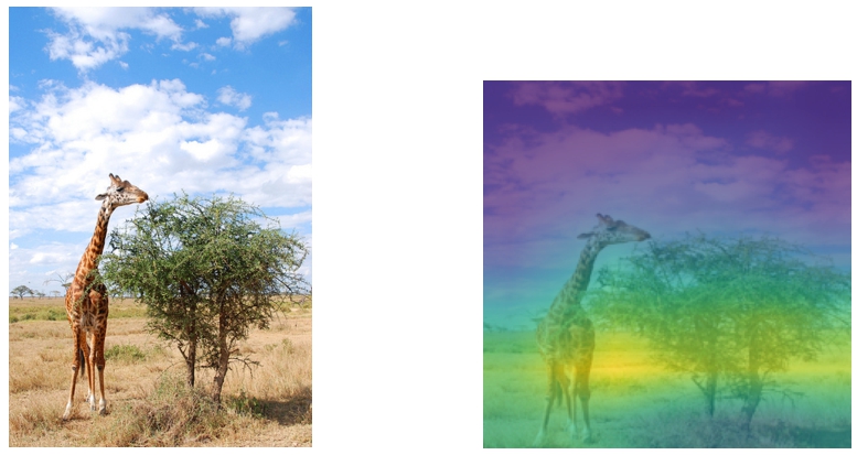An image classified as “Desert Road” exhibiting weaker association to the presence of a giraffe.