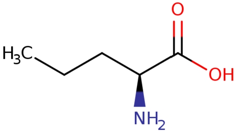 The class L-2-aminopentanoic acid, which had been wrongly axiomatised as a subclass of nitrile (which has now been corrected in ChEBI). It does not feature the required triple bond but a chiral structure in its place.