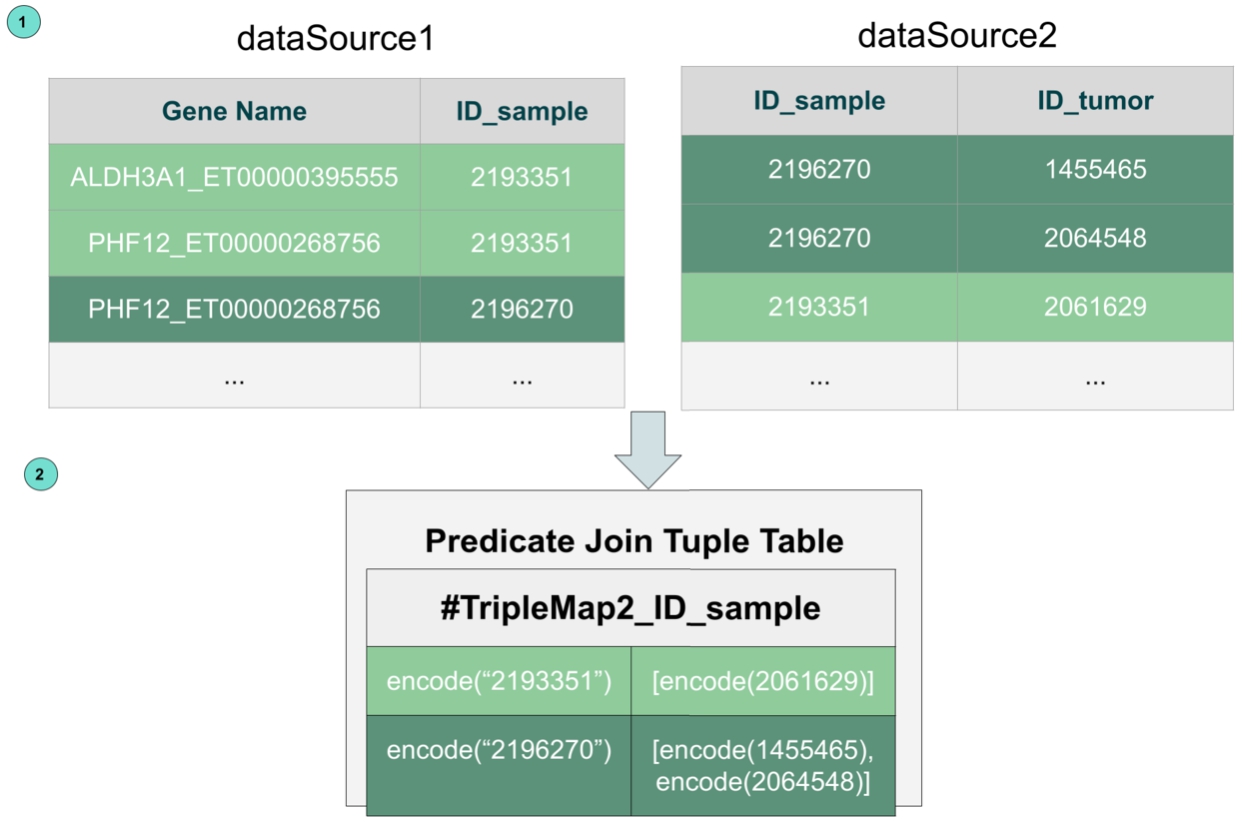 Predicate join triple table. The PJTT for the join between triples maps TriplesMap2 and TriplesMap3 in Fig. 1 (lines 21–23). The encoding stored in the dictionary table is used to minimize the space to store intermediate results.
