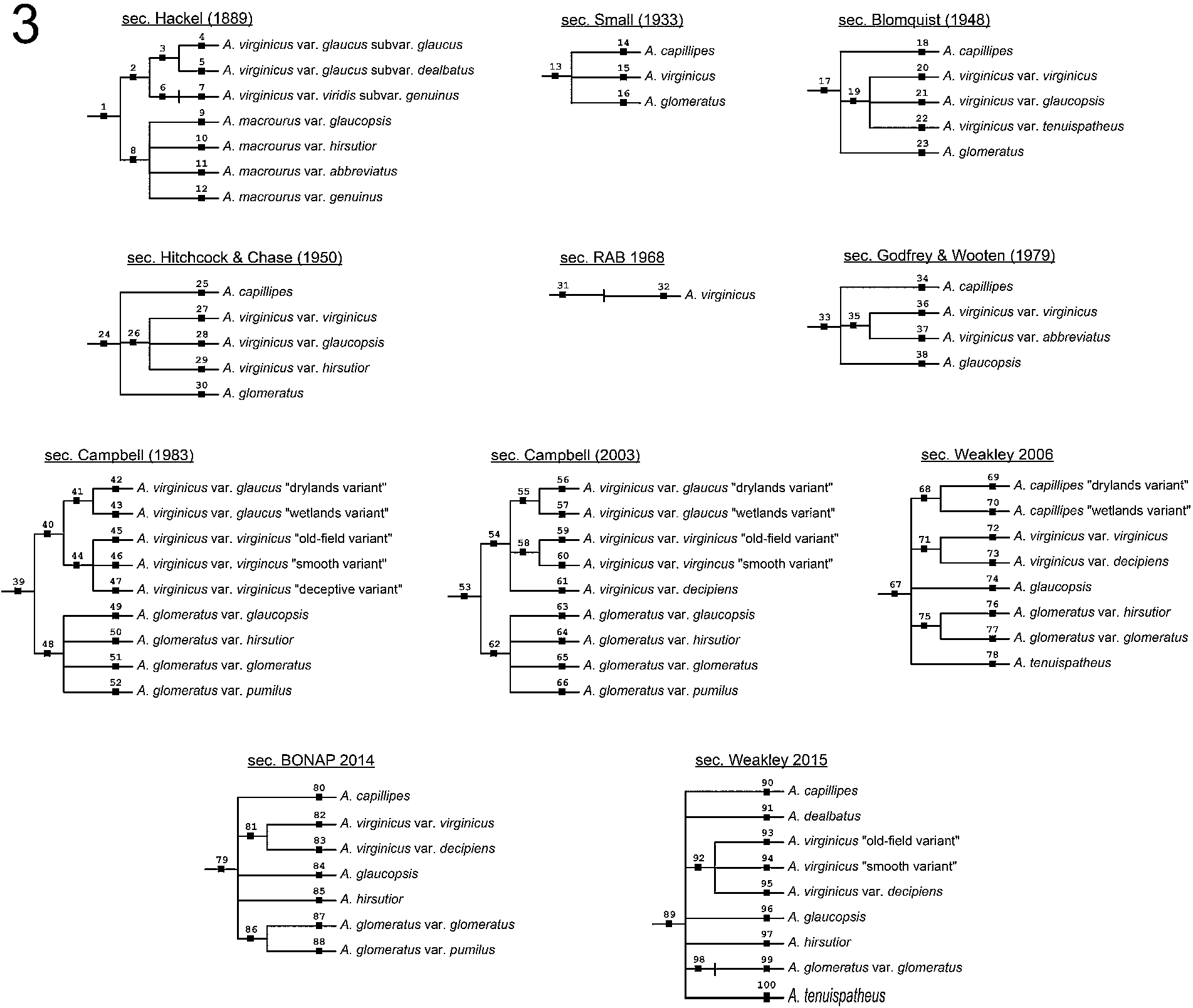 Hierarchical, multi-level representations of the 11 input classifications of the Andro-UC (see also Appendix A). Taxonomic name and concept identities (numbered from 1–100) as in Fig. 2.