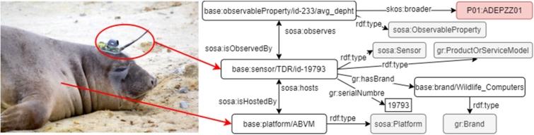 SES platform and TDR sensor description.