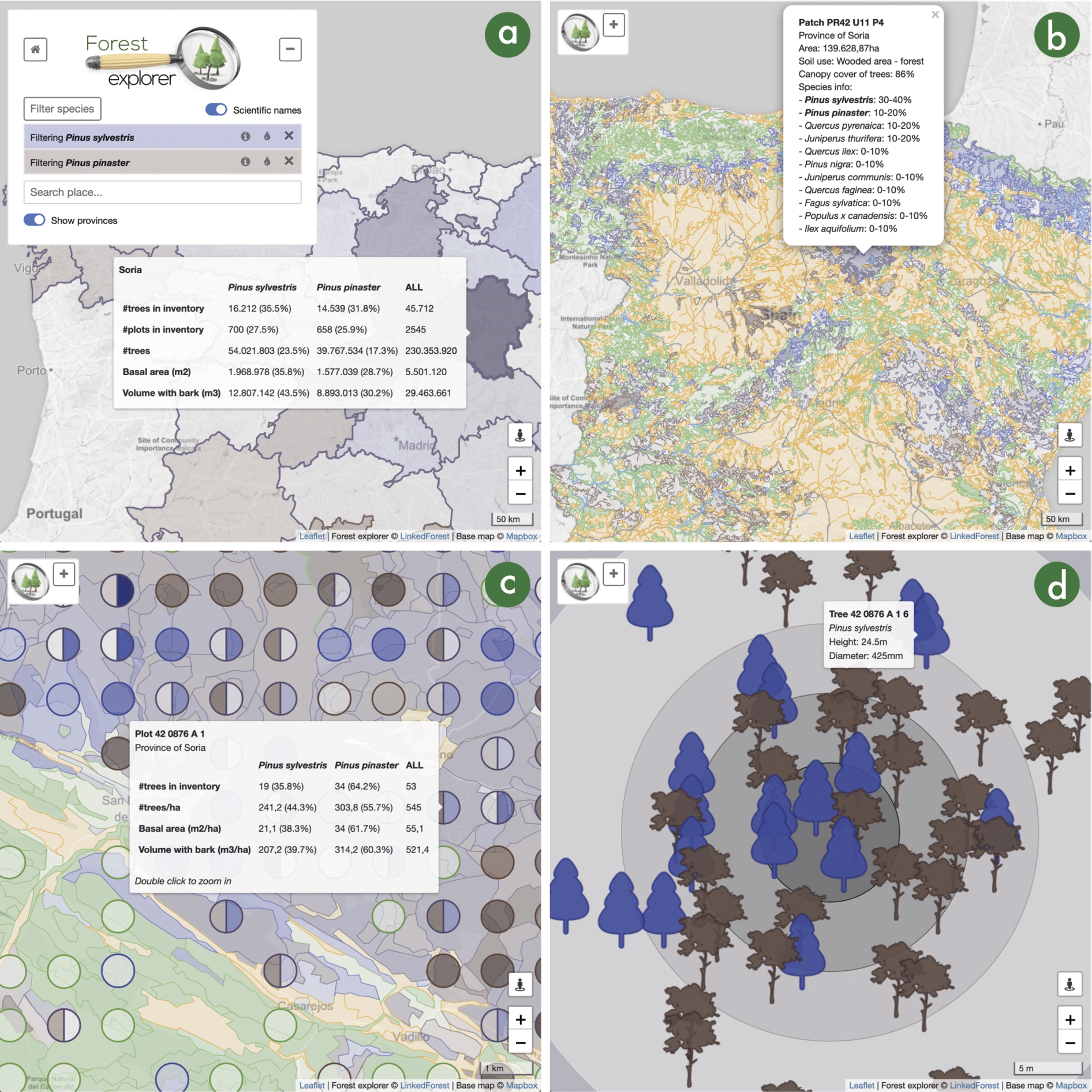 Snapshots of the user interface of Forest Explorer. (a) View of the Spanish provinces in a large area (see the map scale in the lower-right corner) with the form in the upper-left part expanded and showing two species filters, Pinus sylvestris in indigo color and Pinus pinaster in brown; inventory tree data for the province of Soria is displayed in a tooltip. (b) View of the patches in a large area of Spain with the form in the upper-left part collapsed; patches are plotted in different colors depending on their use (farms in orange, water in blue, artificial in grey, and forests in green); forest patches containing a filtered species use the color filter (indigo and brown in this running example); a pop-up shows the data of a forest patch in the province of Soria. (c) View of a small forest area (see the map scale in the lower-right corner) in the province of Soria; plots are displayed as circles on top of the patches; plots and patches employ the same color code as before; a tooltip shows inventory data for a plot. (d) View of a tiny small forest area corresponding to the center of a plot in Soria; tree markers are shown in their actual positions using taxa-dependent icons and corresponding filter colors; a tooltip shows the species, height, and diameter of a specific tree.
