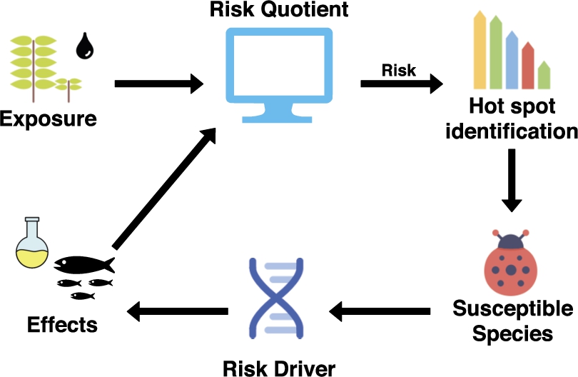 Simplified ecological risk assessment pipeline.