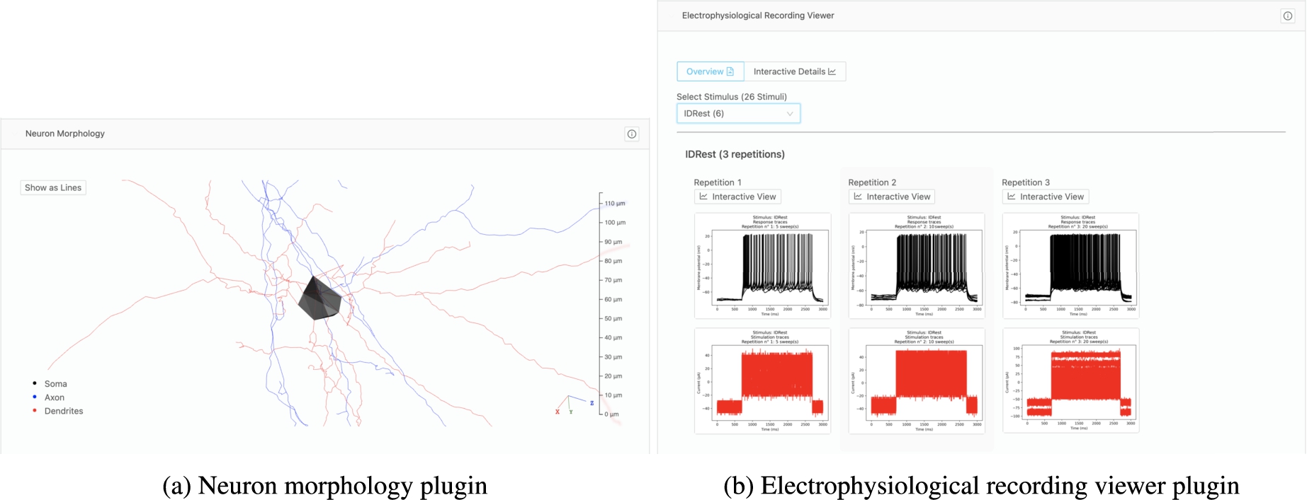 Plugins have been developed at Blue Brain Project for specific types of resources. Scientists can interactively explore 3D neuron morphologies through a plugin that reads and presents morphology data (a). Another plugin enables scientists to browse all static electrophysiology recordings for a specific neuron (b), with the ability to toggle to an interactive plot of the electrophysiology recordings.