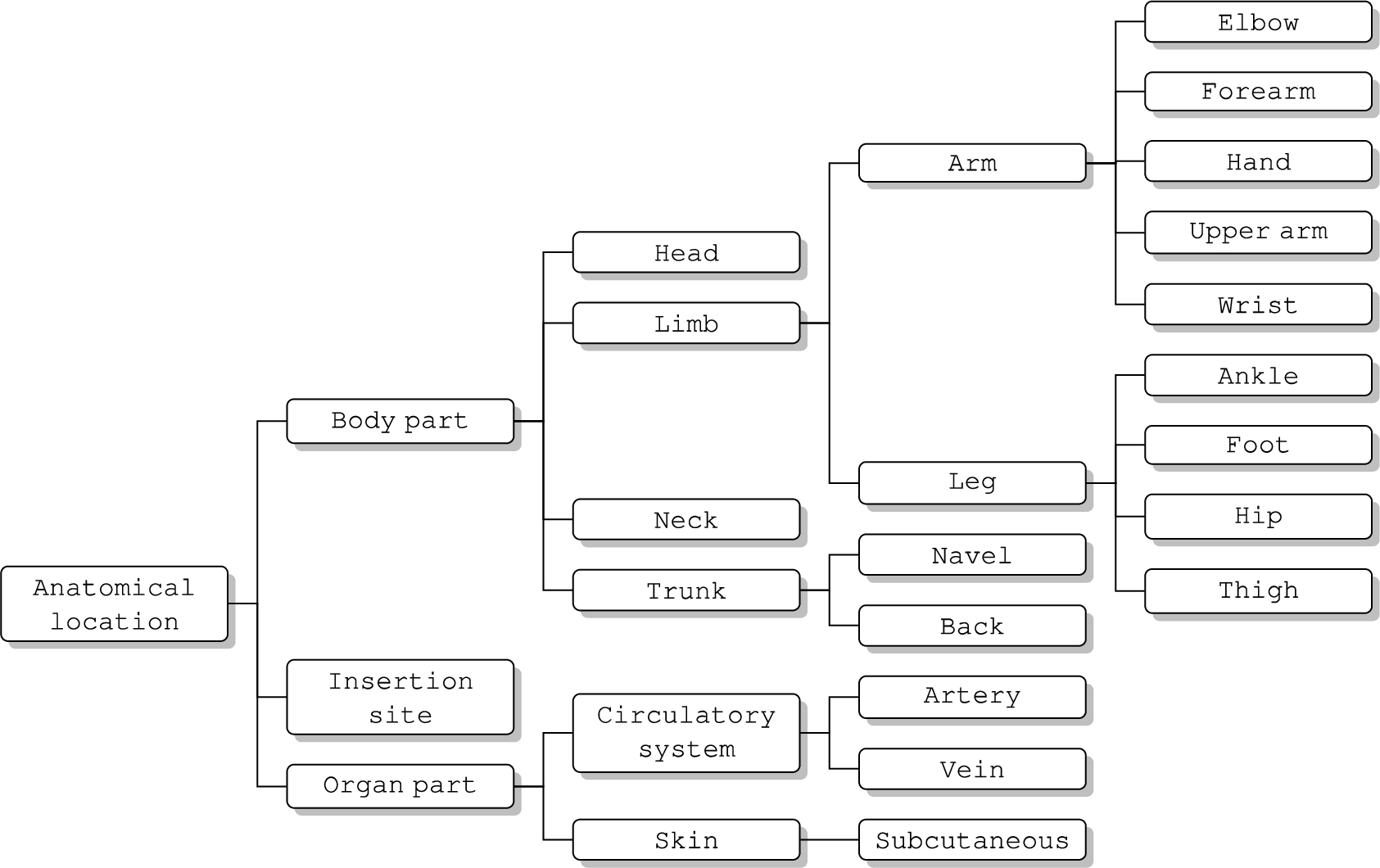 AAENOTE anatomical location class hierarchy.