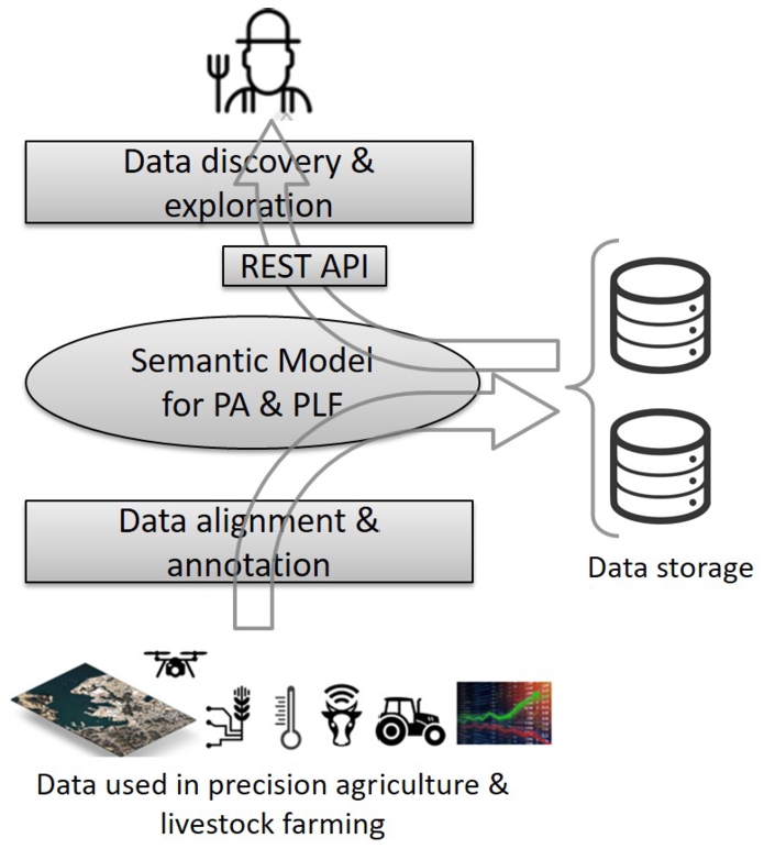 The role of the semantic model.