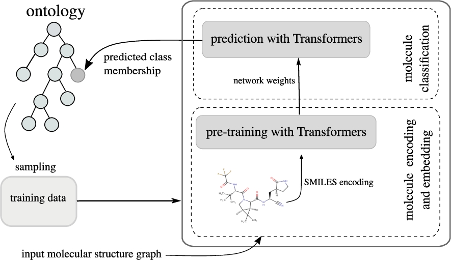 Architecture of our ontology extension with Transformer-based models.