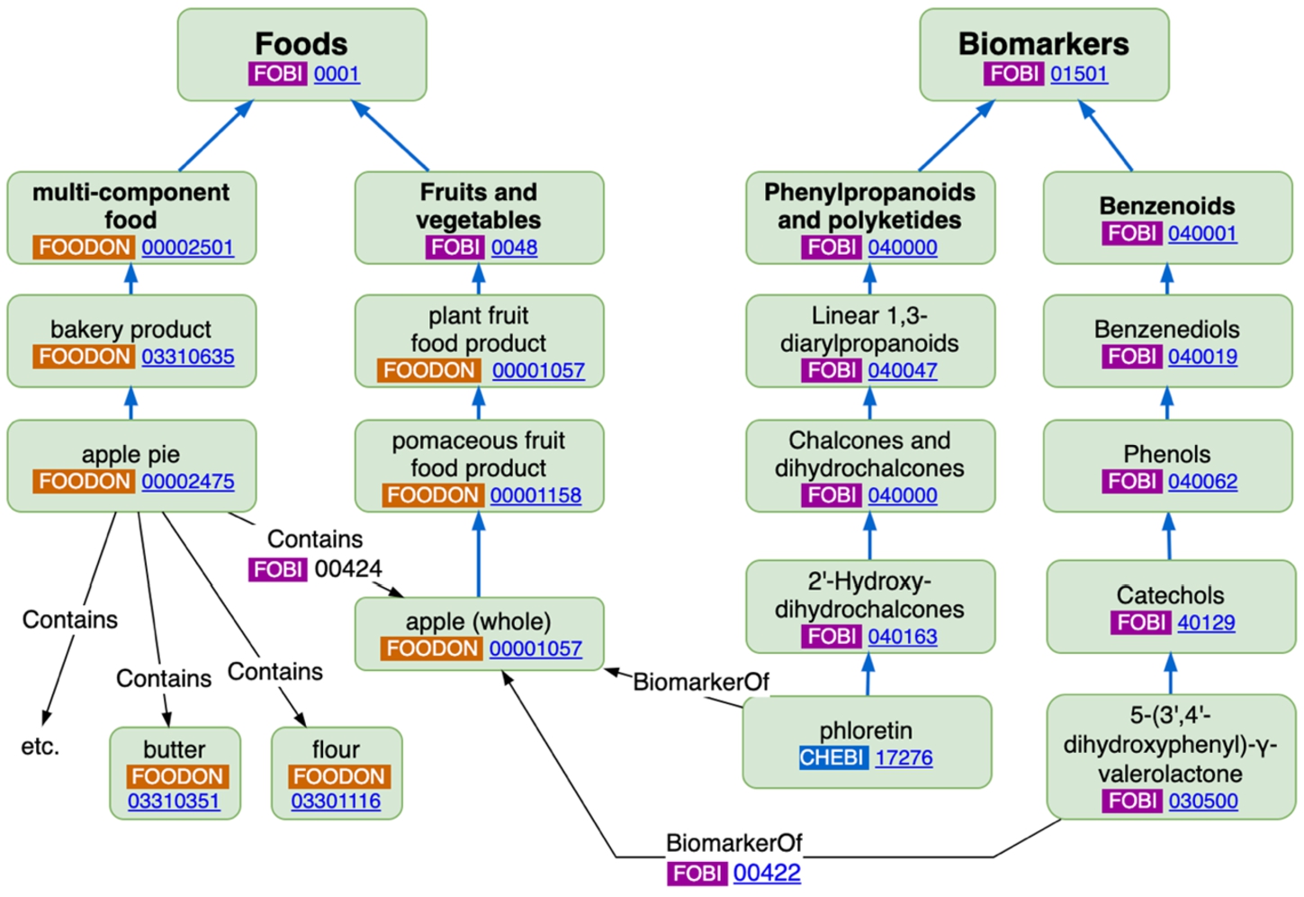 Example class-level FOBI linkage between FoodOn “apple (whole)” and FOBI BiomarkerOf object properties.