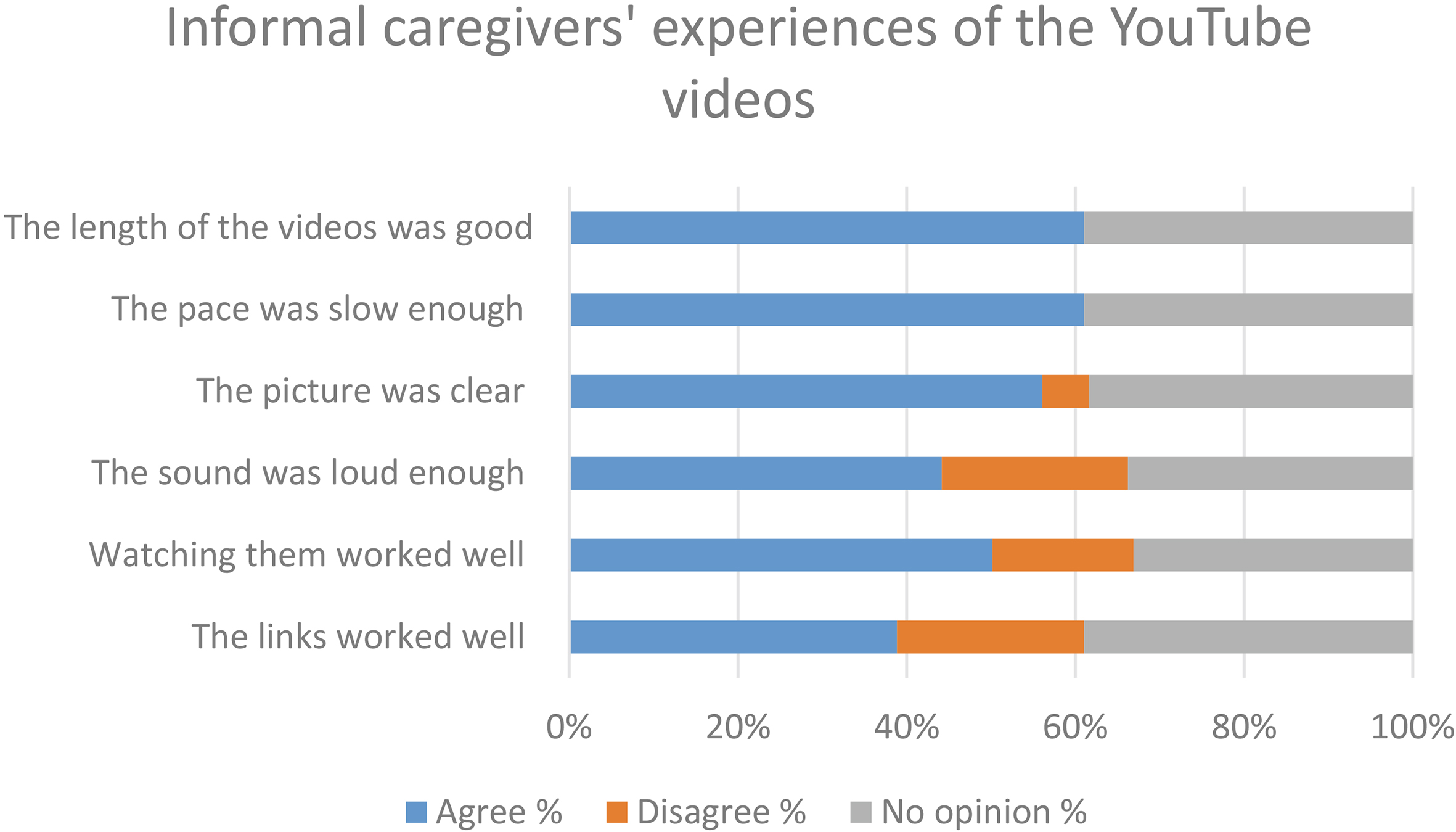 Informal caregivers’ (n= 19) experience of the YouTube videos.