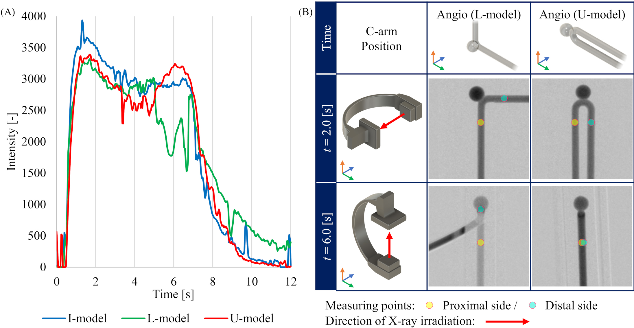 Conditions during 4D-DSA imaging in each model. (A) Time intensity curves (TICs) at the measurement point on distal side in the aneurysm phantom model. (B) Geometrical relationship between C-arm position and L-model or U-model depending on the time during the imaging protocol.