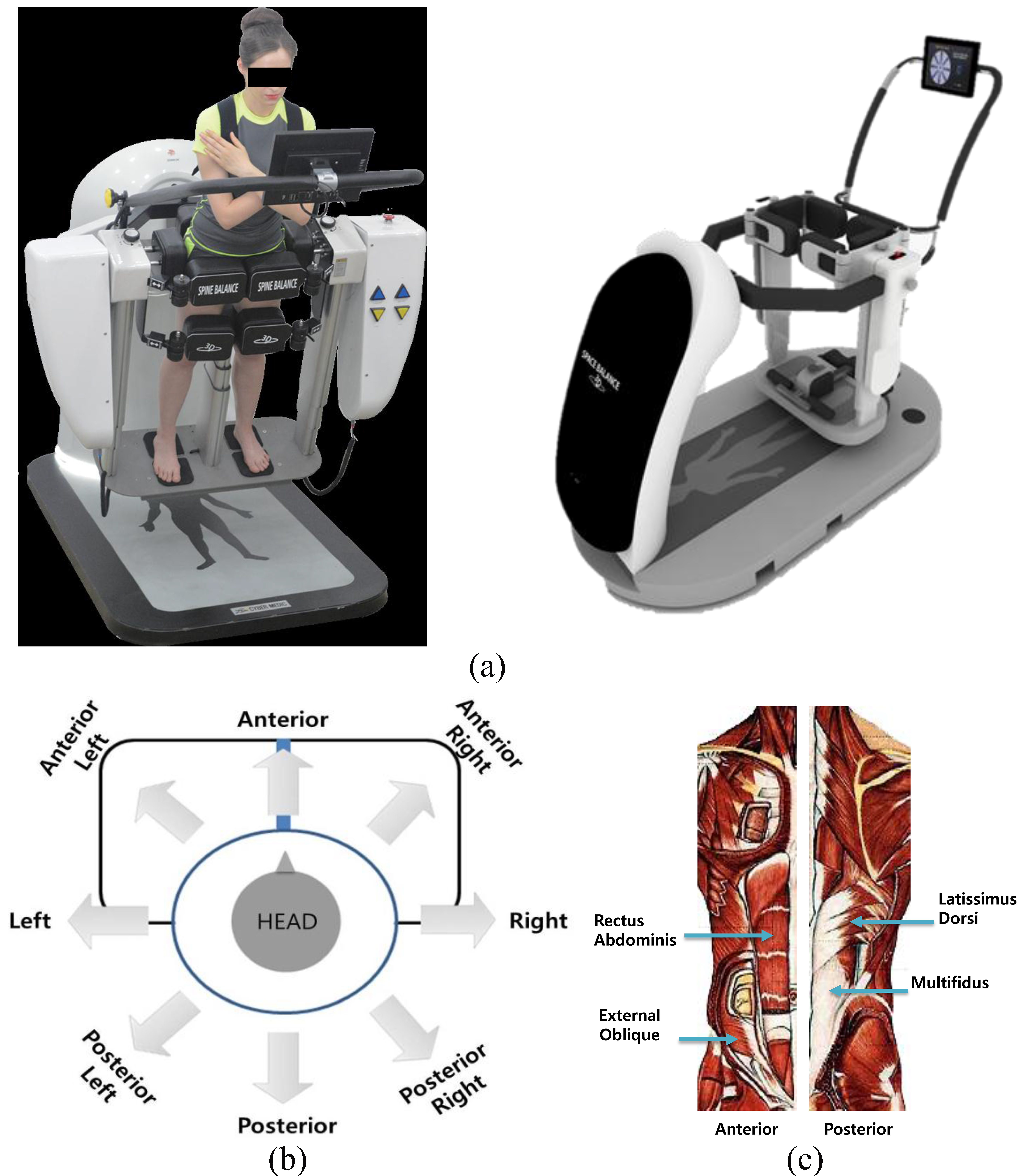 (a) 3D dynamic exercise device we developed (Spine Balance 3D, CyberMedic Co. and Chonbuk National University, Korea), (b) Explanation of the eight tilting directions during the trunk tilt exercise modes with the device, (c) Trunk muscles measure to verify muscular activity.