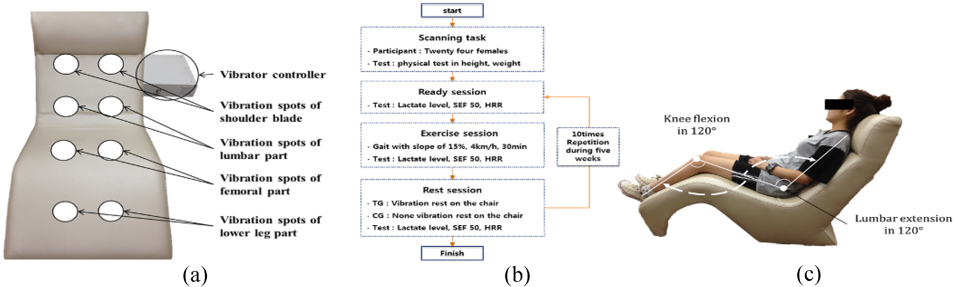 (a) Vibrations provided were up-to-down alternating vertical sinusoidal vibration in the chair using sonic waves and vibration spots, (b) Experimental procedure per session according to whole body vibration (WBV), (c) Vibration posture with angles of knee flexion and lumbar extension during the rest session in the chair-type vibrator.