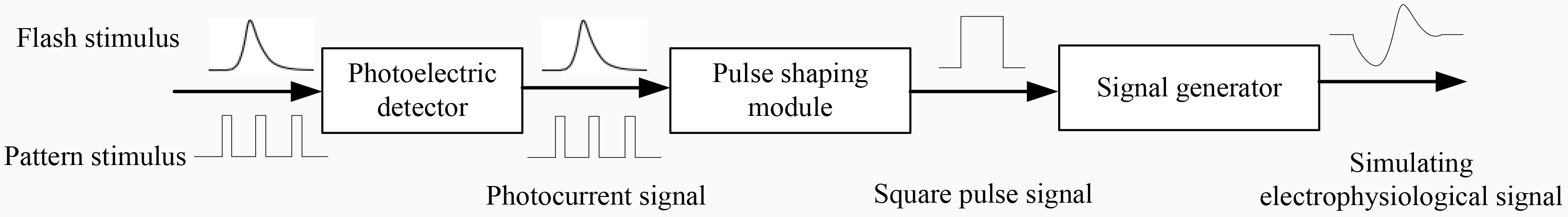 The principle of the method to simulate visual electrophysiology.