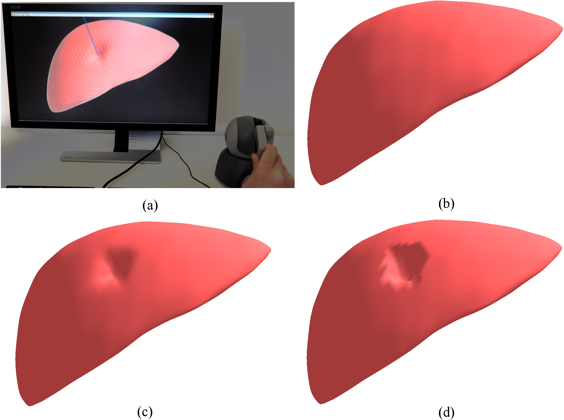 Interactive deformation of the human liver model: (a) the interactive simulation system; (b) the initial state of the volumetric liver model; (c) the deformation by the proposed CNN; (d) the deformation by the traditional ChainMail.