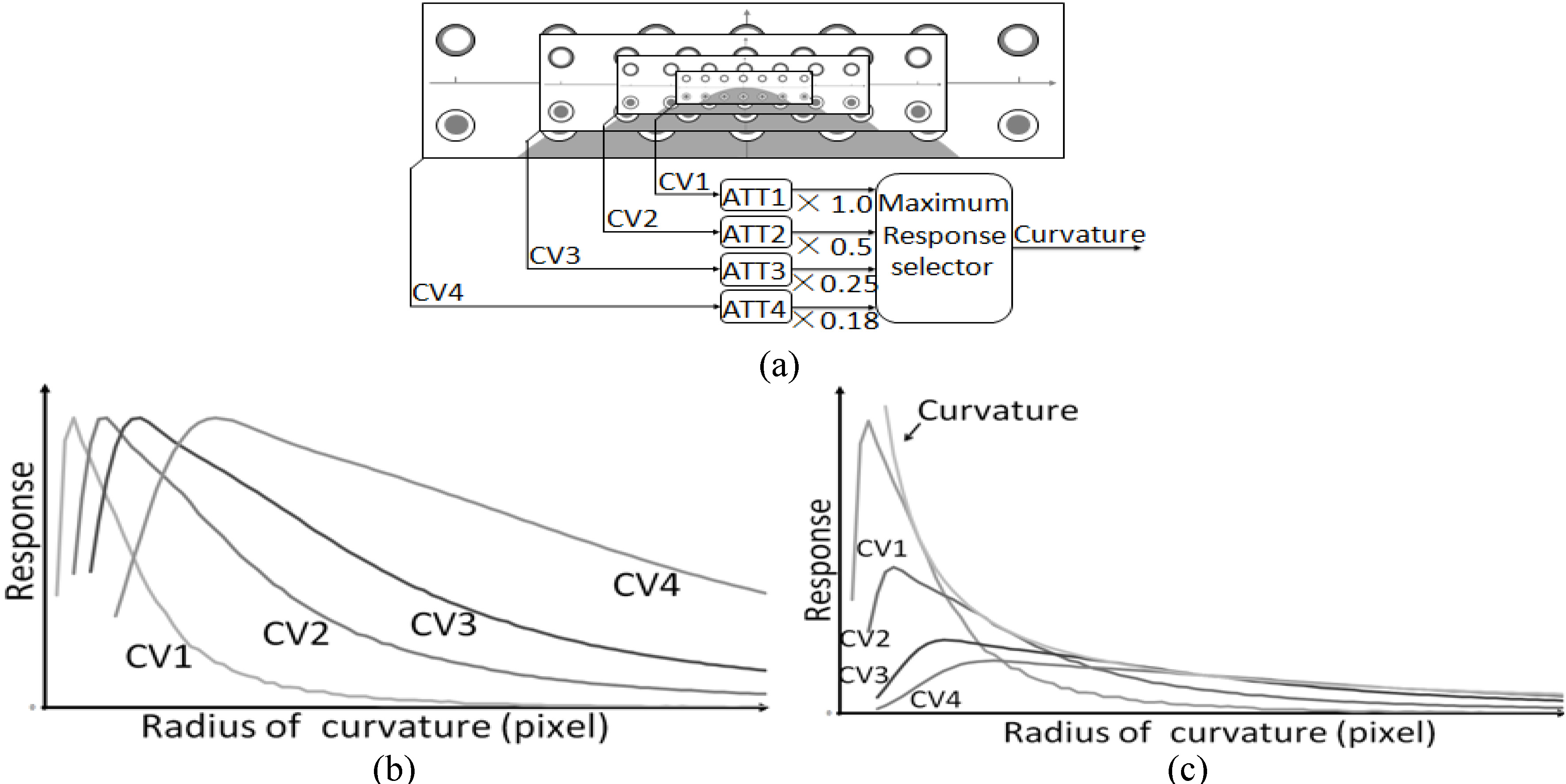 Detection of broad range of curvatures. (a) Schematic diagram for curvature detection. (b) Normalized response curves of CV1, CV2, CV3 and CV4. (c) Attenuated response curves. The deep black curve shows the selector’s outputs.