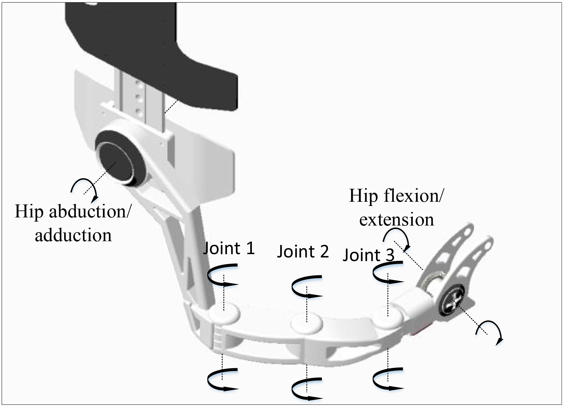 Hip structure.