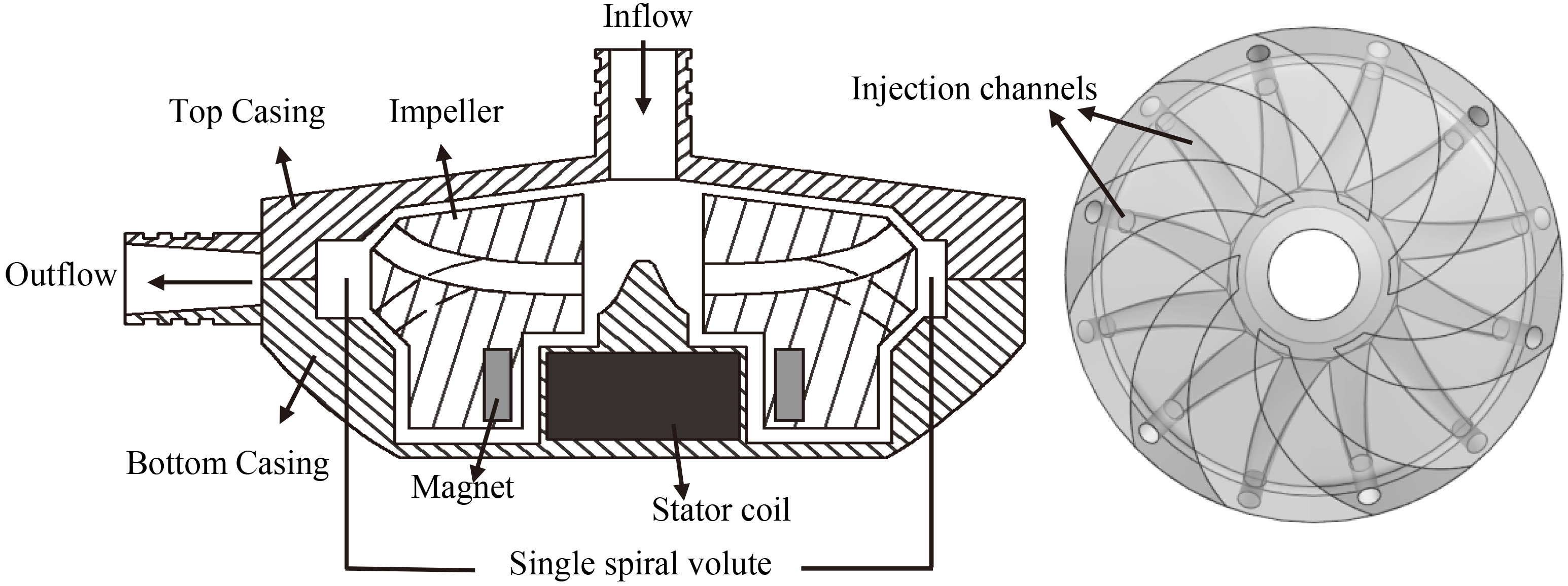 Structure of the developed centrifugal blood pump and impeller.