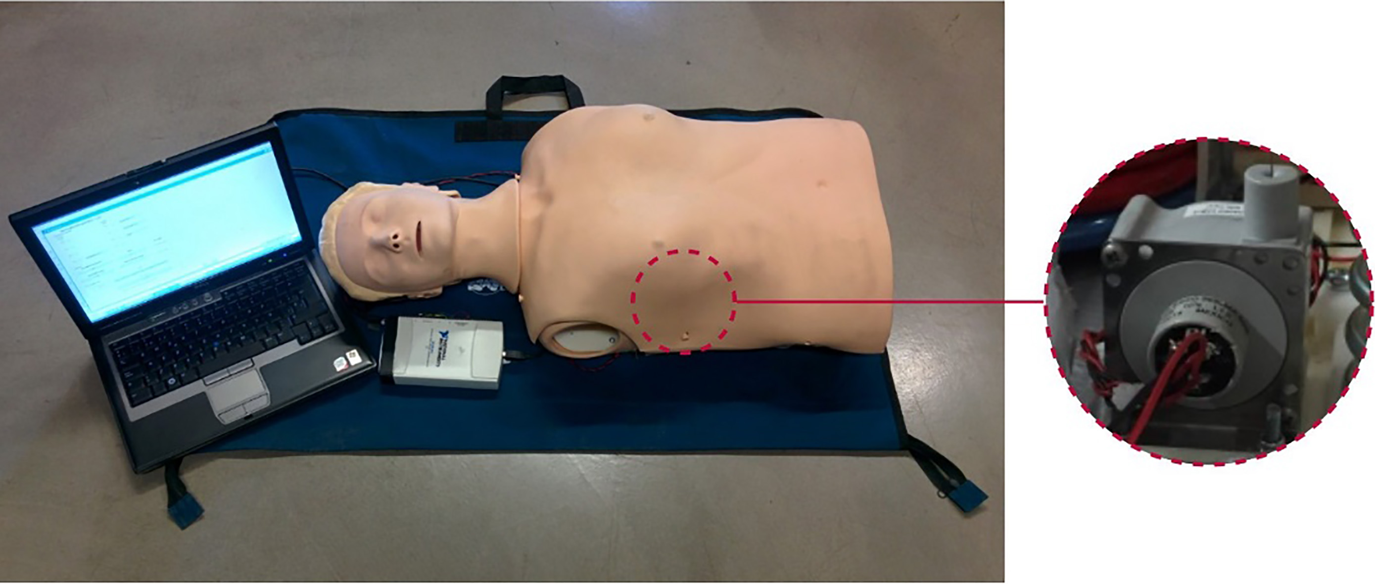 Experimental setup. Manikin fitted with a displacement sensor, acquisition card and laptop computer.