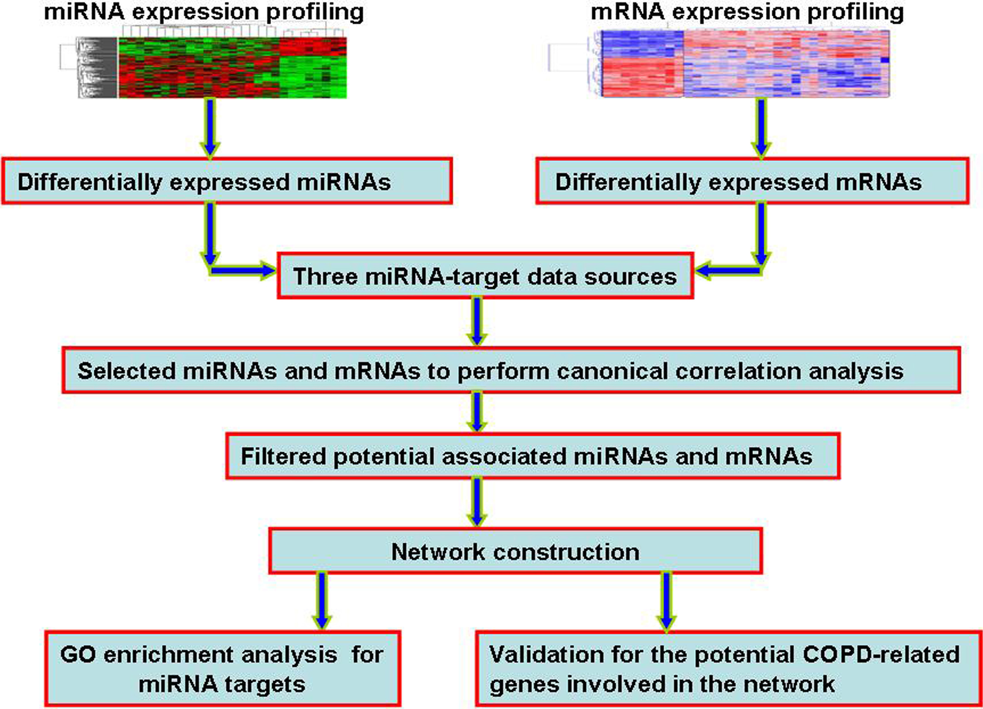 The flowchart of our work. Firstly, we identified the differentially expressed miRNAs and mRNAs. Secondly, by integrating three miRNA-target sources, we performed canonical correlation analysis to identify potential COPD-related miRNAs and mRNAs. Thirdly, we constructed and expanded miRNA-mRNA network. Finally, for miRNAs involved in the network, we performed GO functional enrichment analysis of their targets. We also performed the validation of potential COPD-related genes involved in the consturction network, including ROC curve analysis, SVM classification, and cluster analysis.