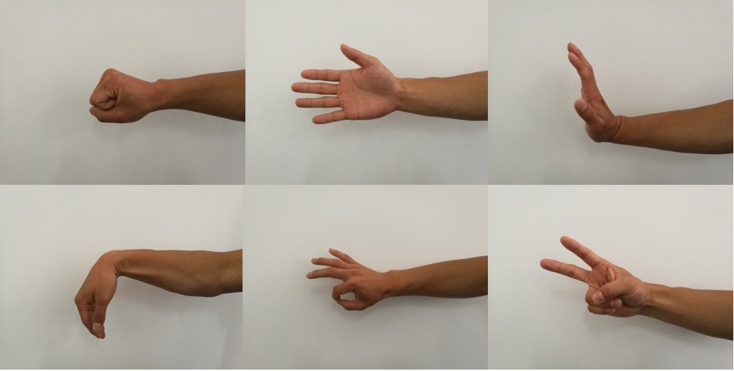Six hand motions. From left to right and up to down these are HC, HO, WE, WF, OS and VS.