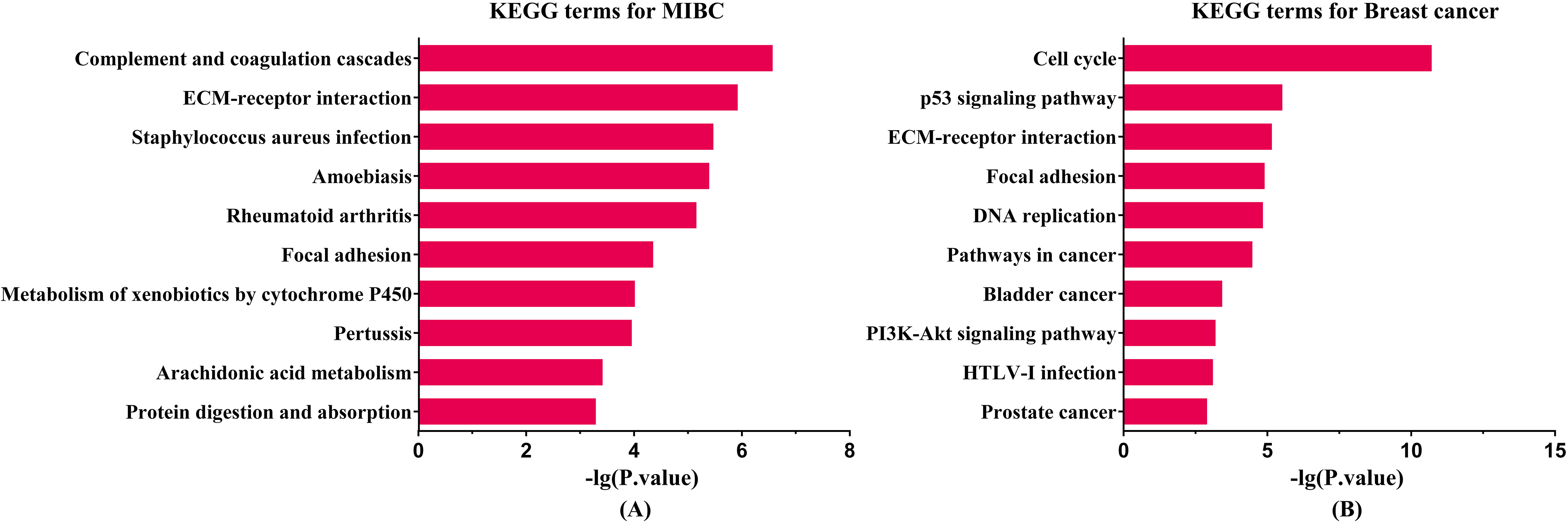 KEGG enrichment analysis results for two cancers. The length of bar is positive correlation with significant level. (A) Enriched KEGG pathway for MIBC. (B) Enriched KEGG pathway for breast cancer.