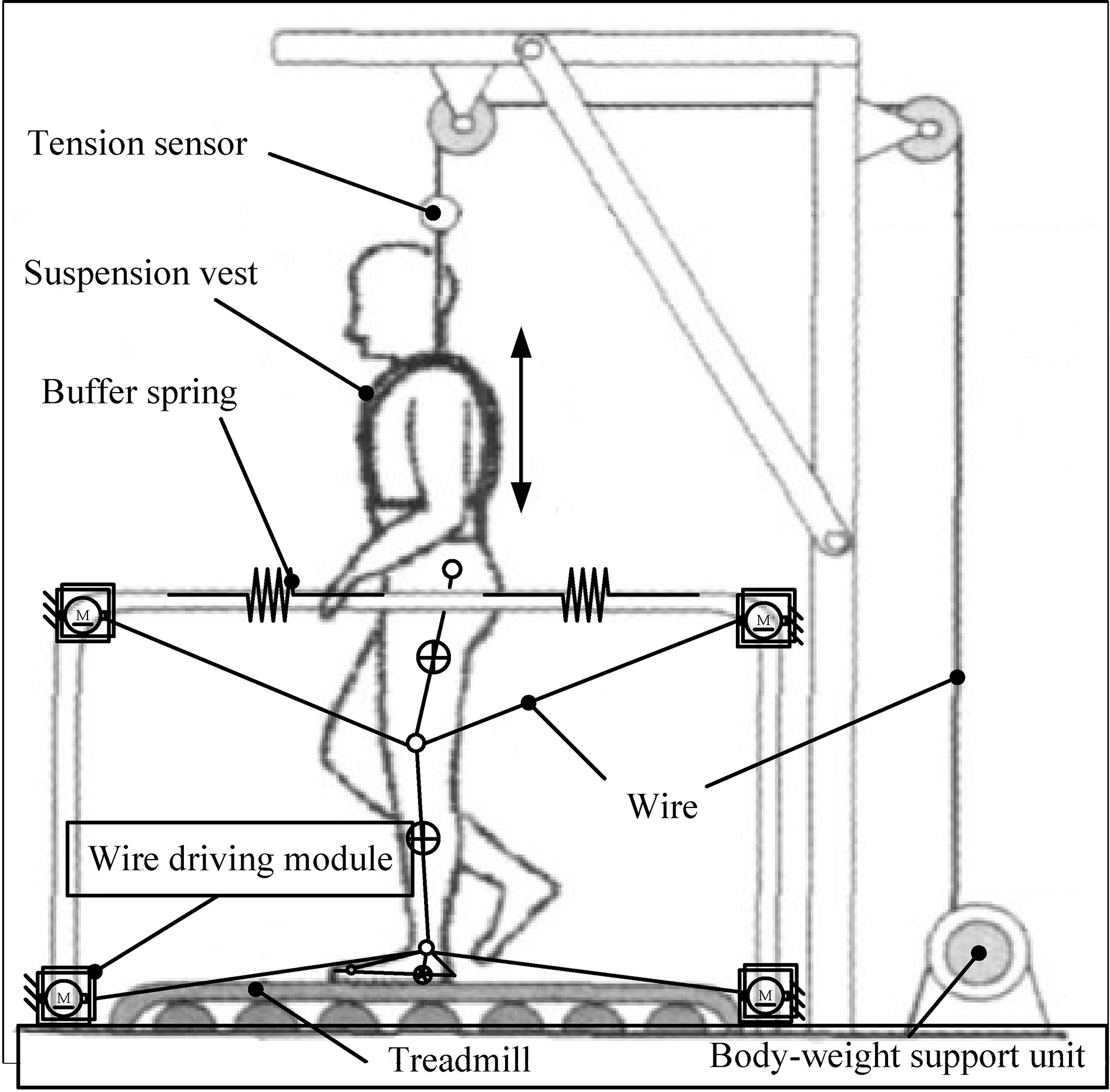 Structural scheme of the wire driving lower limb rehabilitation robot.