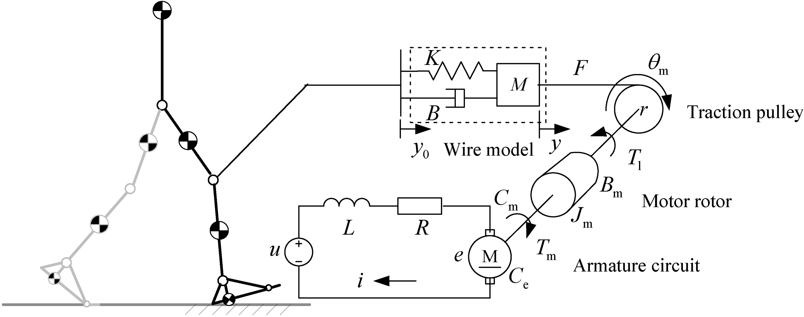 Mechanism model of the WDM.