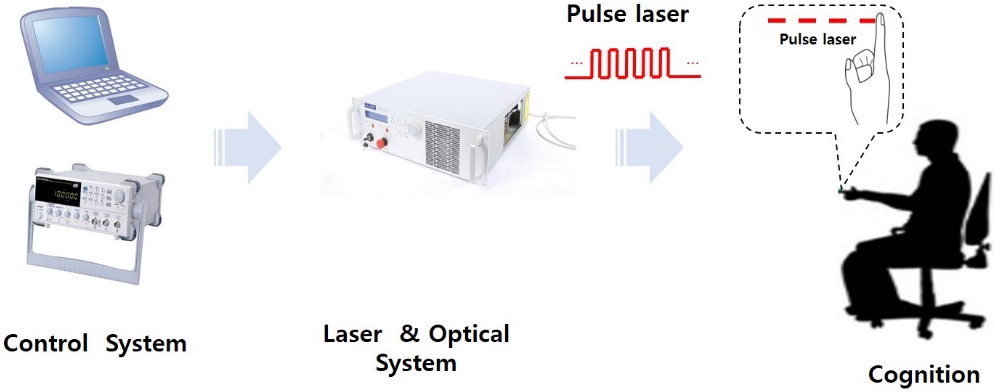 Schematic of laser stimulation procedure.