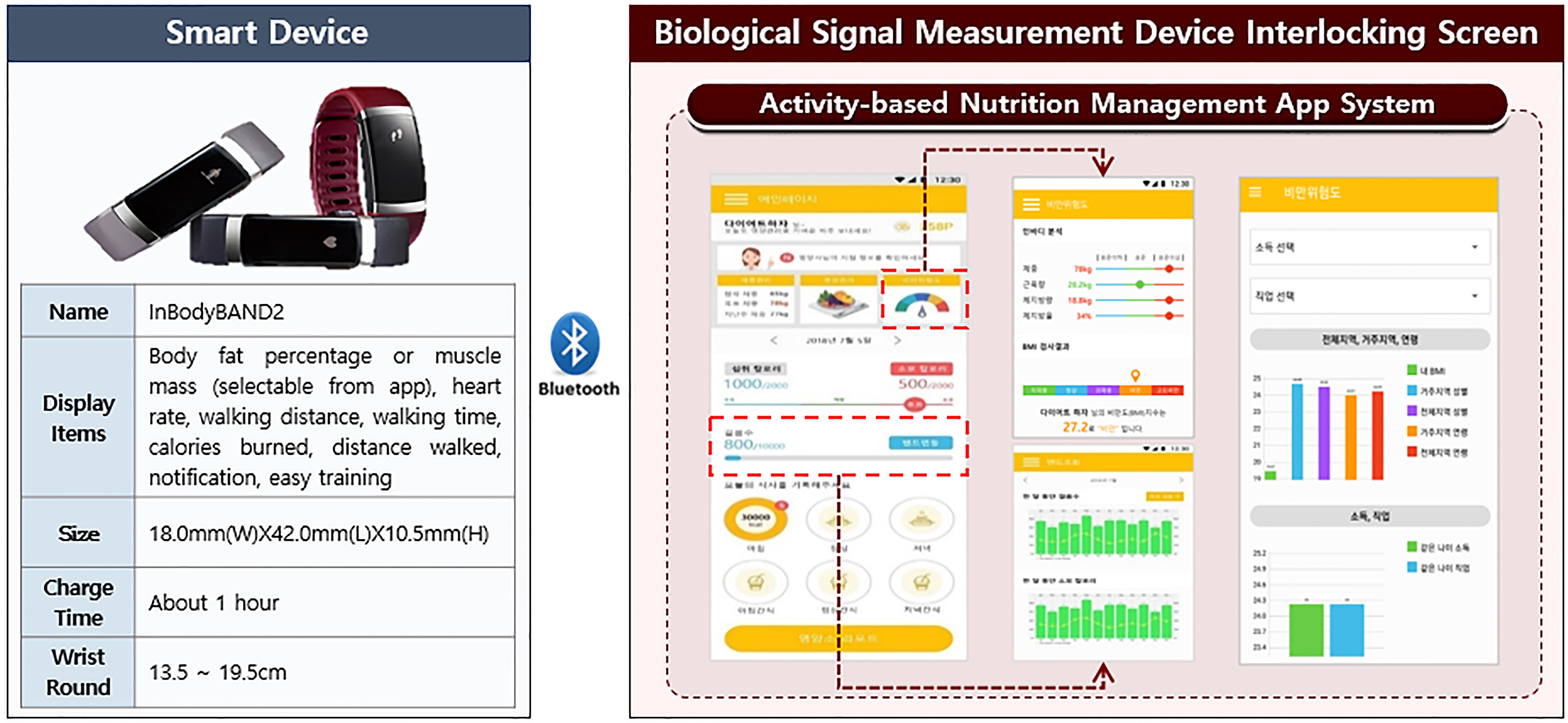 Band linkage and activity measurement information output view.