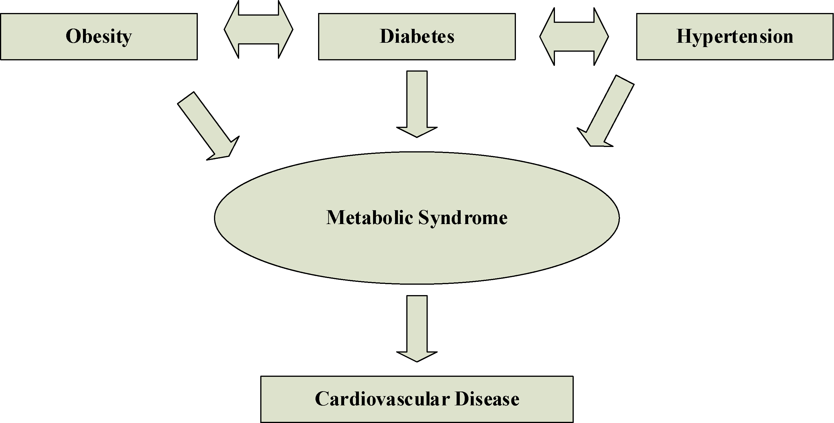 General structure of the relationship between MetS risk factors and CVD.