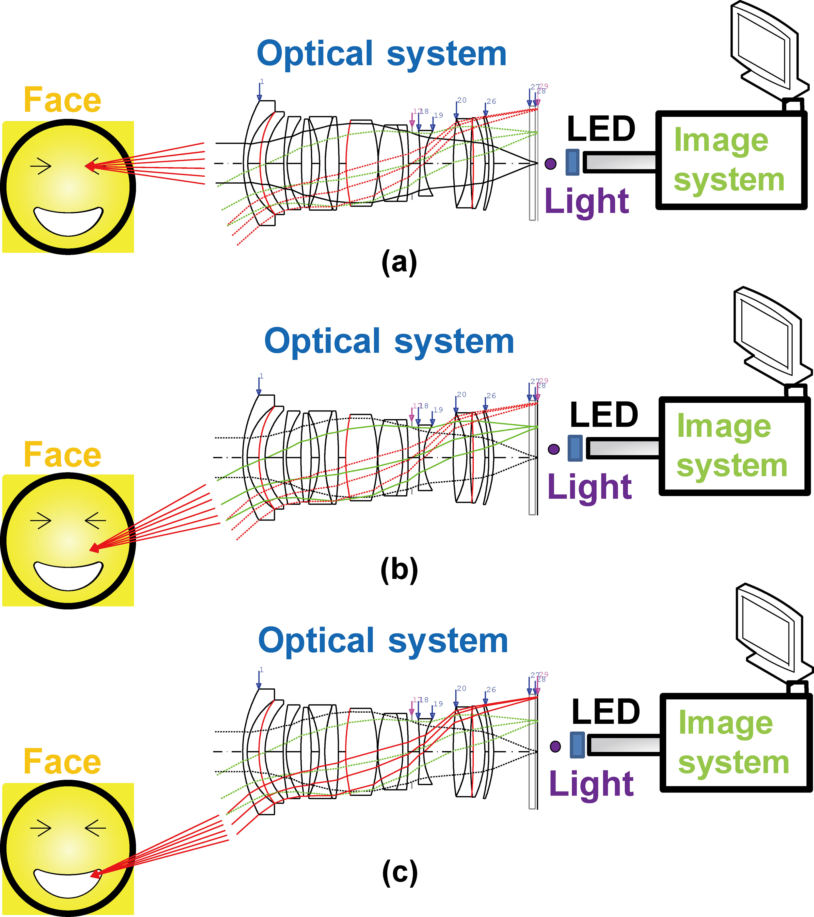 Conceptual block diagram of the designed ultrawide-angle optical system for ophthalmology and dermatology applications: (a) focused in the eye, (b) unfocused to cover a wide area, and (c) focused outside the eye.