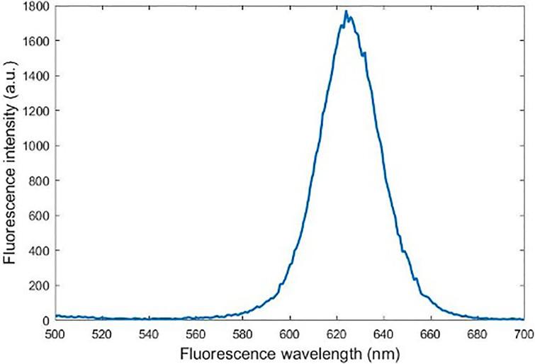 Quantum dots fluorescence spectroscopy.