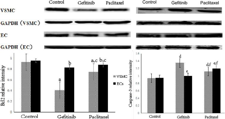 The expression of Bcl2 and Caspase-3 in different cells. Note: Compare with control group, Pa,b,d,e< 0.05, Comparison with gefitinib groups, Pc,f< 0.05.
