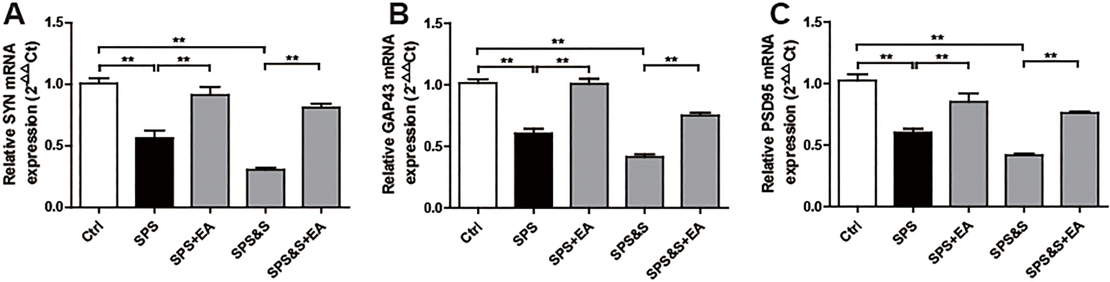 Effect of electroacupuncture on the mRNA expression of SYN, GAP43, PSD95 in amygdala from rats in the indicated groups. (A–C) mRNA expression of SYN, GAP43, PSD95 were analyzed by Real-time PCR. The results were presented as mean ± SD (n= 3). p*< 0.05, p**< 0.01.