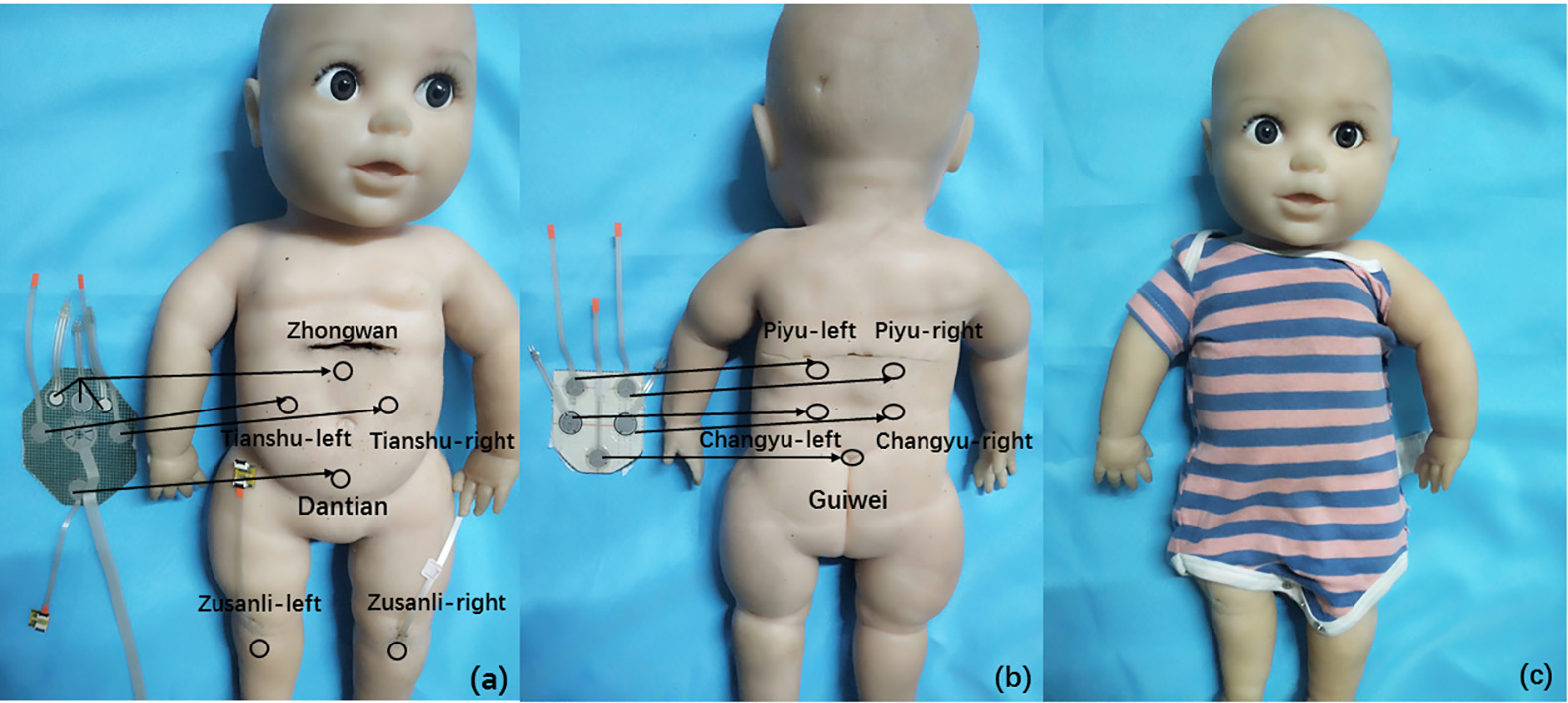 Pressure sensor distribution. (a) Acupuncture points on the abdomen and lower limbs, (b) Acupuncture points on the back, (c) The baby model.
