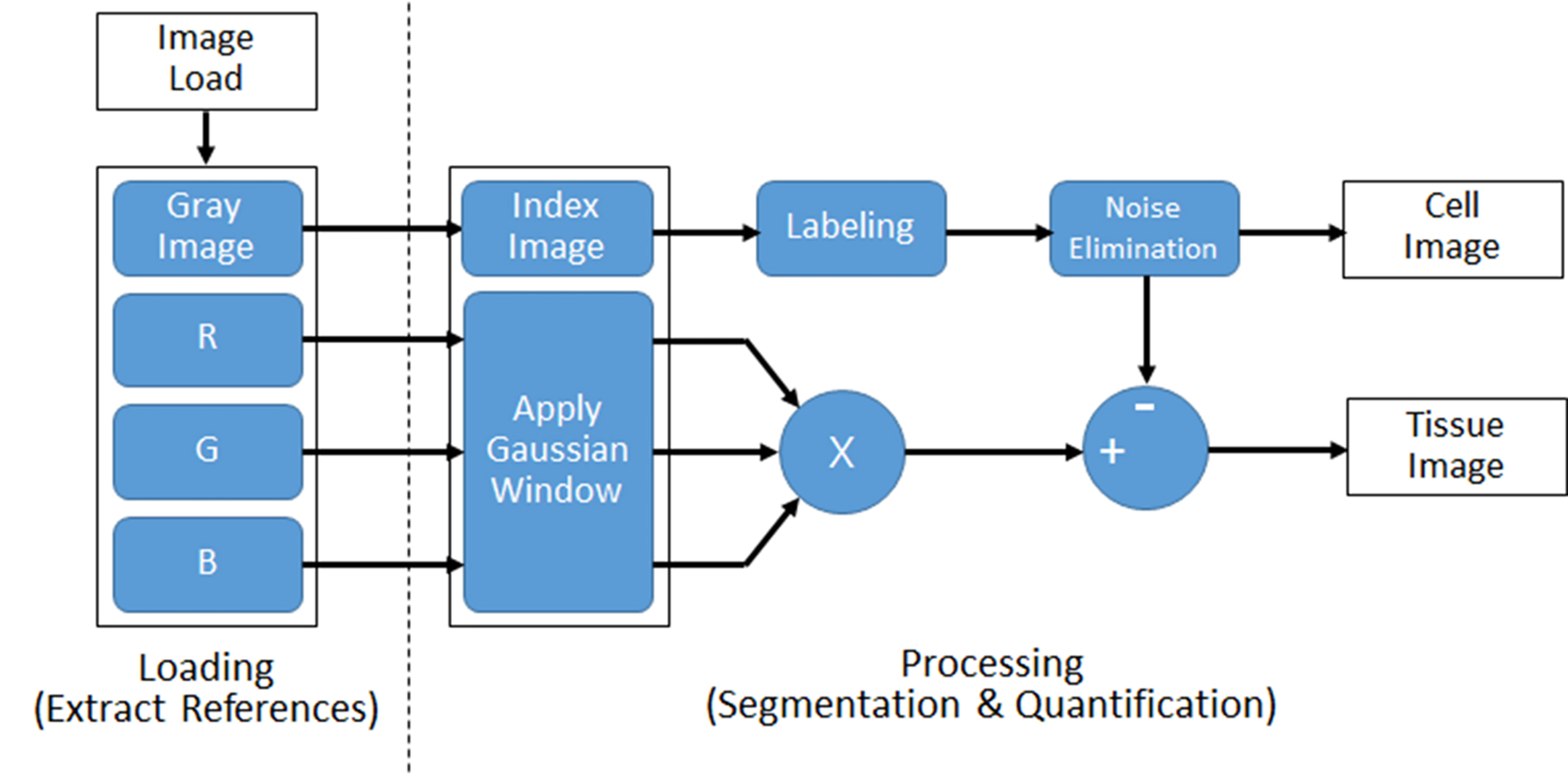 Flow of the proposed image processing algorithm for segmentation and quantification of cell and tissue from microscopic images.