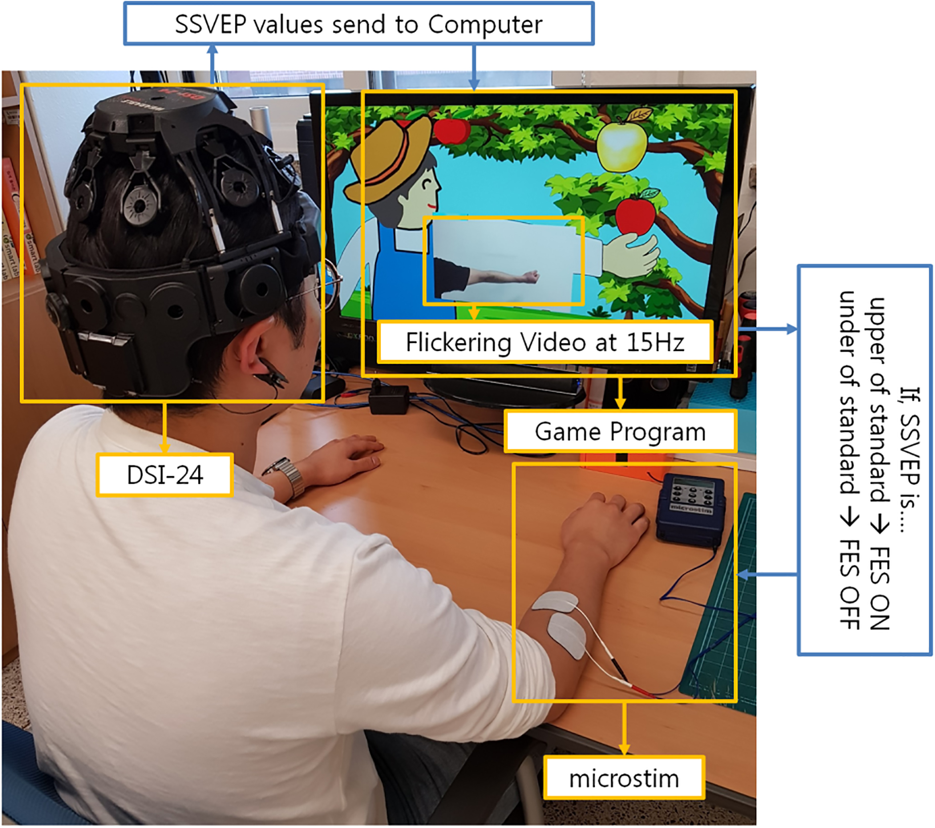 The experiment utilized an EEG acquisition device (DSI-24) and a functional electrical stimulation (FES; Microstim) device. The game program indicated a flickering action video at 15 Hz. The DSI-24 received steady state visual evoked potential (SSVEP) values which were transferred to the computer. If SSVEP was greater than the standard, the FES turned on and transmitted electrical stimulation to the electrodes; else, the FES turned off and did not trasmit electrical stimulation to the electrodes.