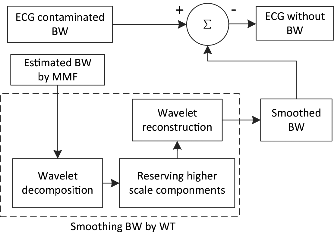 The wavelet and morphological filter suppressing BW noise.