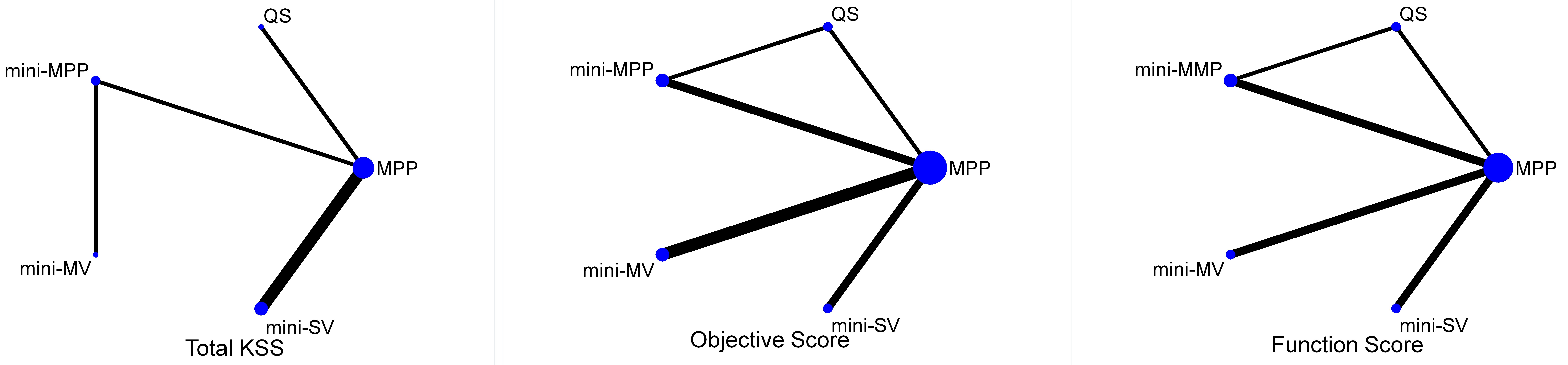 Network for the comparison of the five approaches. MPP, medial parapatellar; MV, midvastus; SV, subvastus; QS, quadriceps-sparing.