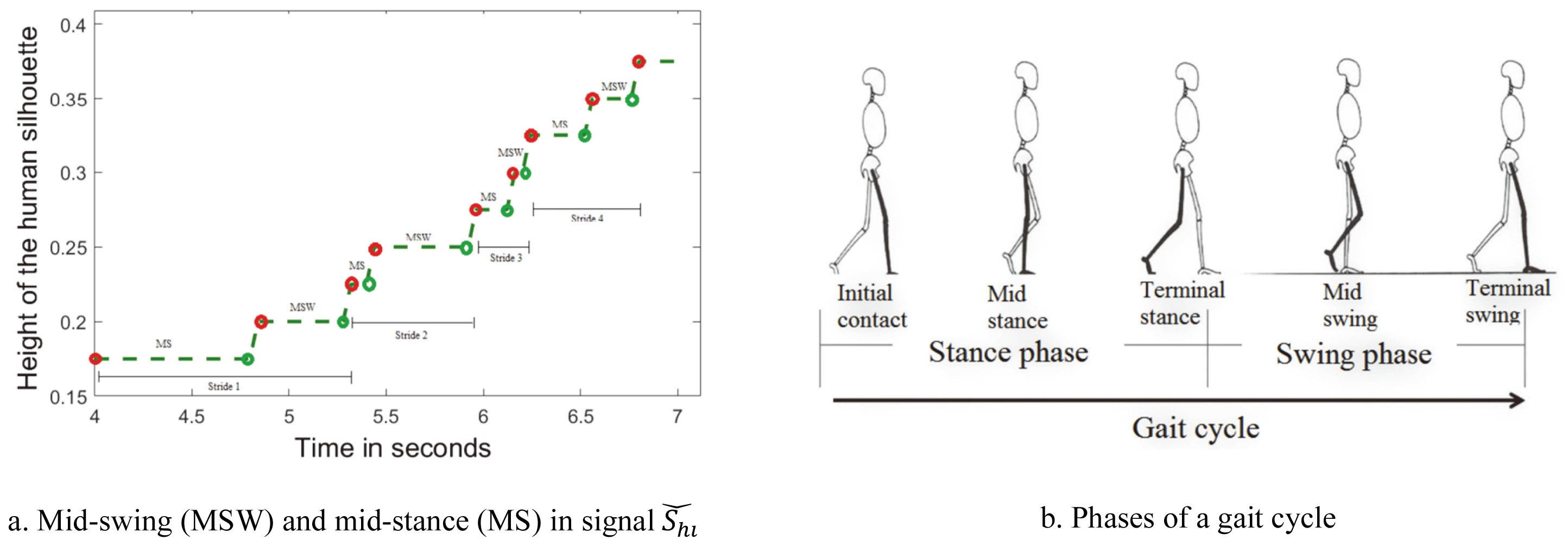 Representation of gait events in the quantized height signal.