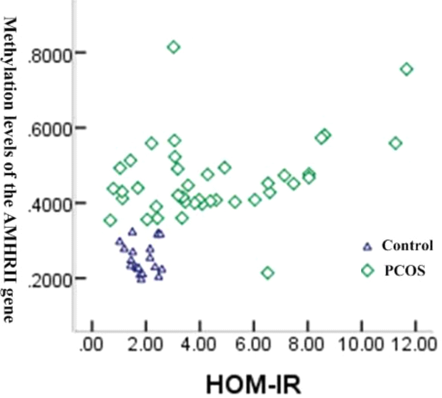 Correlation between methylation of AMHRII gene and IR.
