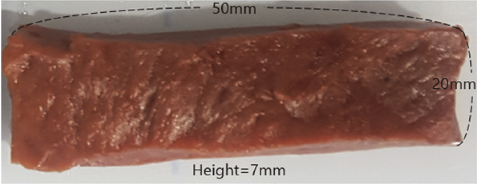 The sample of width 50 mm, length 20 mm and height 7 mm was made using the pig heart.