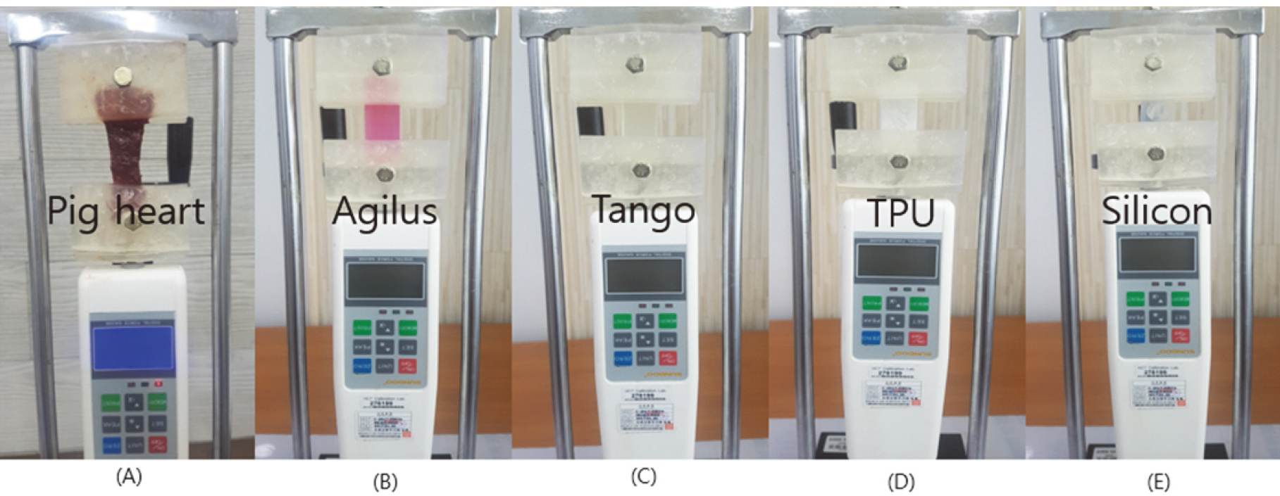Measure the change in length using a force of 5N (A) Pig heart elasticity experiment (B) Agilus elasticity experiment (C) Tango elasticity experiment (D) TPU elasticity experiment (E) Silicone elasticity experiment.