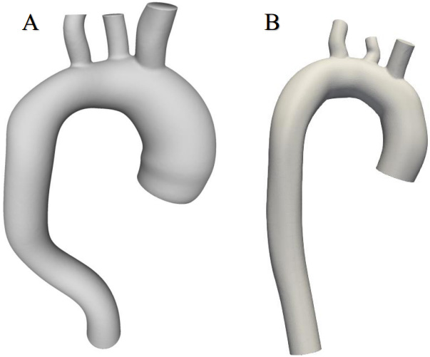Geometric models of aortas.
